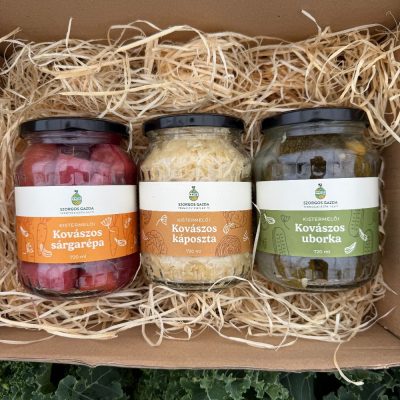 16d62f31-653f-4968-9521-4e382eb9710b